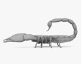 Scorpione imperatore Modello 3D