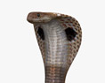 Cobra indiano Modello 3D