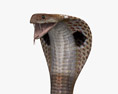 Cobra indiano Modello 3D