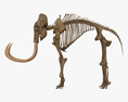 Mammoth Skeleton 3d model