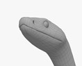 黑曼巴蛇 3D模型