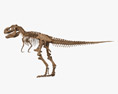 Scheletro di T-rex Modello 3D