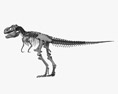 T-rex Skeleton 3d model