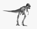 Squelette de T-rex Modèle 3d