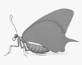 Machaon butterfly 3d model