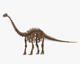 Esqueleto de brontossauro Modelo 3d