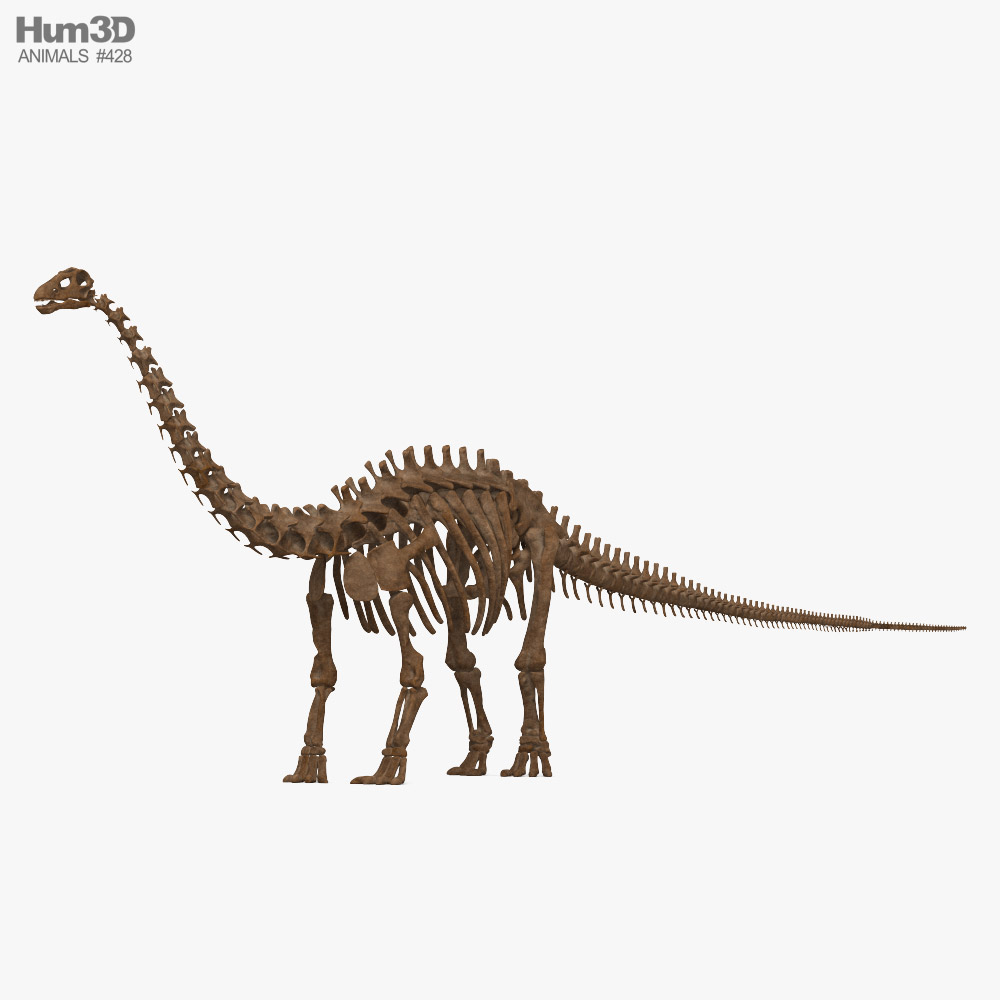 Скелет бронтозавра 3D модель