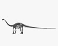 Brontosaurus-Skelett 3D-Modell