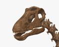 Esqueleto de brontossauro Modelo 3d
