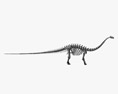 ブロントサウルスの骨格 3Dモデル