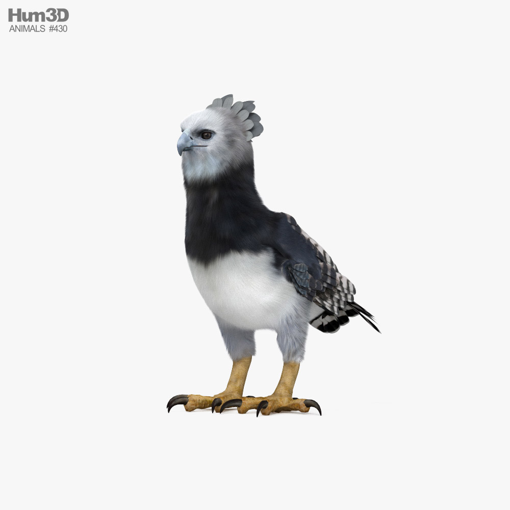 Harpyie 3D-Modell