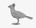 Harpy Eagle 3d model