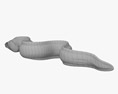 爪哇裸胸鱔 3D模型