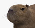 Capybara Modelo 3D