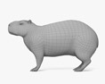 Capybara Modèle 3d