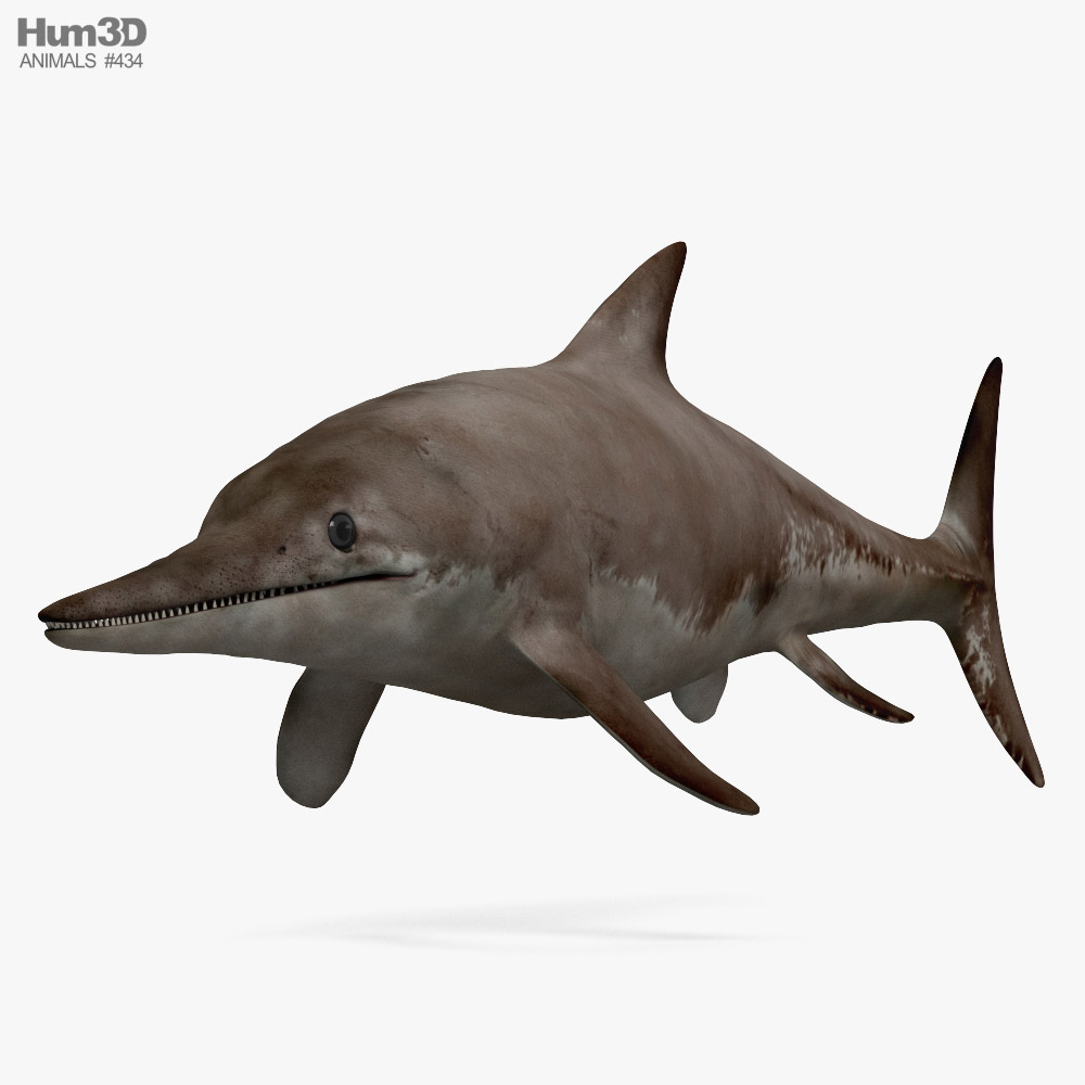 切齿鱼龙属 3D模型