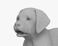 Labrador Retriever Puppy 3d model