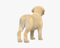 Labrador-Retriever-Welpe 3D-Modell