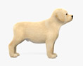 래브라도 리트리버 강아지 3D 모델 