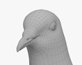 白鸽 3D模型