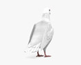 Weiße Taube 3D-Modell