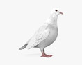 White Dove 3d model