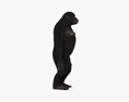 Common Chimpanzee Female 3d model