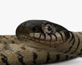 Grass Snake 3d model