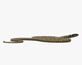 Grass Snake 3Dモデル