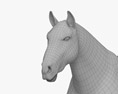 Американская Quarter Horse 3D модель