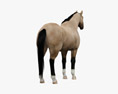 Американская Quarter Horse 3D модель
