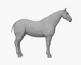 Американська Quarter Horse 3D модель