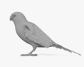 Папужка хвилястий 3D модель