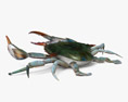 Blue Crab 3d model