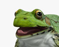 Green Frog Modello 3D