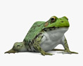 Зеленая лягушка 3D модель