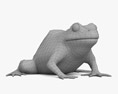 Green Frog 3Dモデル