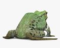 Green Frog 3d model