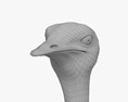 鸵鸟 3D模型