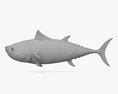 Синий тунец 3D модель