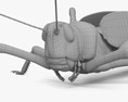 Wüstenheuschrecke 3D-Modell