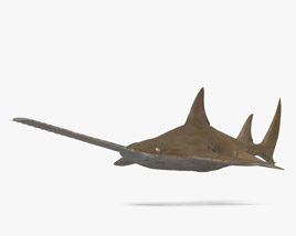 Риба-пила 3D модель