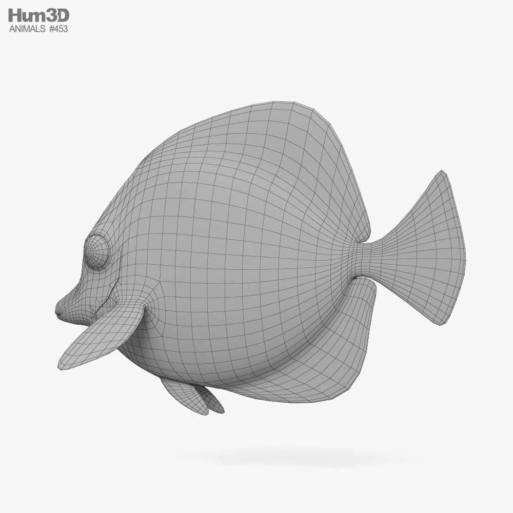 Yellow Tang 3D model - Download Animals on 3DModels.org