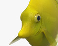 黃高鰭刺尾魚 3D模型