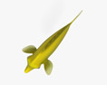 노랑양쥐돔 3D 모델 