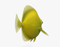 Pesce chirurgo giallo Modello 3D