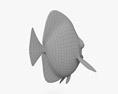 黃高鰭刺尾魚 3D模型