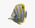 Риба-метелик 3D модель