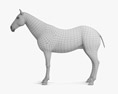 Чистокровний верховий кінь 3D модель