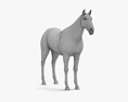 Thoroughbred riding horse 3d model
